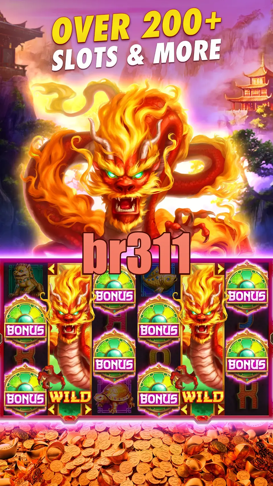br311 Capturas de tela Oficial APK